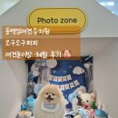 지지네 애견호텔&놀이방 | 동백섬애견유치원 오구오구퍼피 애견놀이방 체험 후기🐶