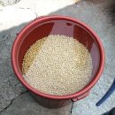 안의식당 이미지