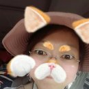 용인 별난수목원 2016.06.04-06