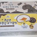 봄나리식품 | 여수언니 아이스크림떡 봄날엔 초코퐁당 요거꿀떡 초코초꾸떡 내돈내산 솔직 후기