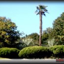 우리친구 이미지