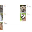 검은고양이 | [영화리뷰] &lt;플로우&gt; 후기 :: 검은 고양이, 연대를 통해 성장하다. (결말,해석,스포,쿠키포함)
