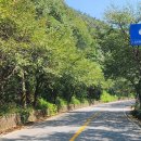 드라이브 마니아들이 자주 찾는다는.. 한국의 아름다운 길 100선에 오른 단풍 명소 이미지