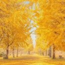 Vadim Guryev 바딤 구리예프 ② - 추억의 황혼. 둘만을 위한 저녁, etc 5곡 이미지