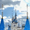 장충동왕족발보쌈 이미지