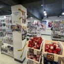 제이.제이오락실 이미지