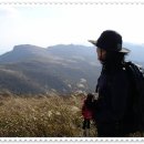 명희네 - 성북구 오패산로3길 52 | 명희네