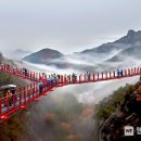 거창 항노화 힐링랜드 이미지