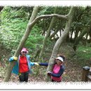 외연도6 이미지