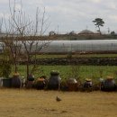 고내마을 이미지