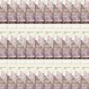 다미2080 이미지