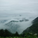 오디마을펜션 이미지