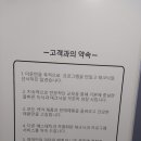 보니예 이미지