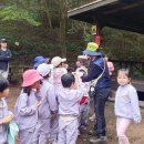 서상초병설유치원 이미지