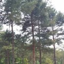 석수공원 이미지