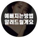 브랜든시티의원 이미지