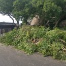 담덕기업 이미지