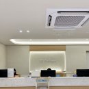 YC메디칼 이미지