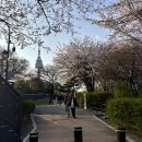 킹덤푸드빌 | ‘26.4.4 남산 N서울타워 씨제이푸드빌 2026 와인페어