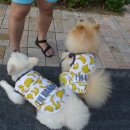 미미하우스 이미지