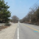 태건조경