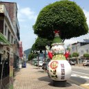 설원칡냉면 단양점 이미지