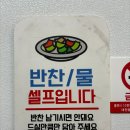 대전 설설이김밥 용전동 김밥 치즈돈가스 맛집 후기