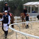 홍성군 승마장 이미지