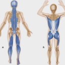 메이드바디 필라테스 이미지