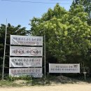 은아유치원 | 여주 아기랑 동물체험 가능한 은아목장 평일 방문 후기