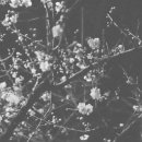 동그마니 이미지