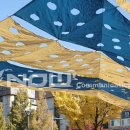 노원구청사 대강당 이미지