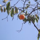 만해문학체험관 이미지