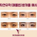 파티마외과의원 이미지