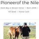 인터파이오니아 이미지