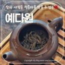 카페 예다원 | 창원 전통 찻집 중 여기가 찐! 사림동 예다원의 고품격 다도 체험 리얼 후기