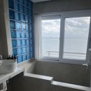 스테이코스트1 이미지