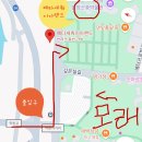 메타세쿼이아랜드 | 담양 메타세쿼이아랜드 솔직 후기/ 주차 /놀거리/ 주말 아이랑 가기 좋은 힐링 여행지