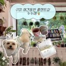 세븐일레븐 구미금오공대행복점 | 구미 애견동반 식물가게 소품샵 | 누누메 솔직 후기