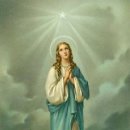 바다의별 이미지