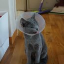 트레벨동물병원 이미지