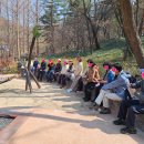 치유, 명상의 숲 이미지