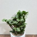 효령로 110 이미지