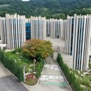 야탑고교.예비군훈련장 이미지