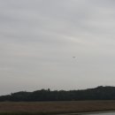 호수공원수변공원 이미지