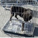 대강면사무소 이미지