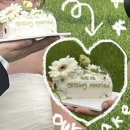 밀까루 | 결혼준비) 초록초록한 생화 웨딩케이크 대만족 밀까루 내돈내산후기