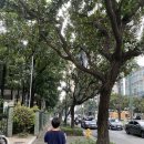 부촌옛날국수 | 필리핀 마닐라 치안과 물가 후기｜BGC 카페·식당 가격과 페소 환율 계산 팁