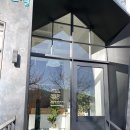 고양이병원 소설 이미지