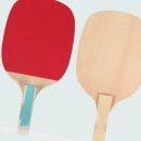 탁구 초급 이미지